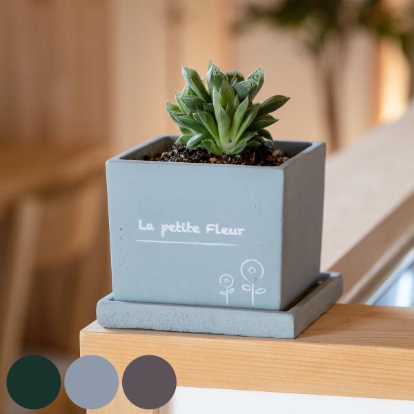 v^[ v`t[ XNGA|bg M i Aؔ vg|bg A  񂹐A \[T[ 󂯎M t A[XJ[ j