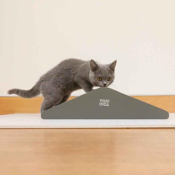 U[܂Ƃ TOGITOGI }Ee hachi i L ˂ lR ܂Ƃ i{[ U[ Lpi j