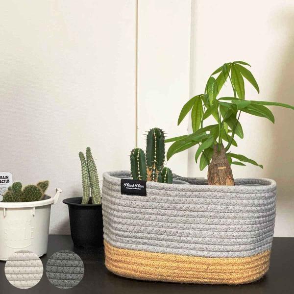 v^[Jo[ XNGA [v i Jo[ v^[ |bgJo[ ݂艺 nMOoXPbg z   j