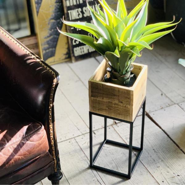 v^[ XNGAv^[{bNXX^h MTCY i v^[Jo[ v^[ t[bN t[X^h   j