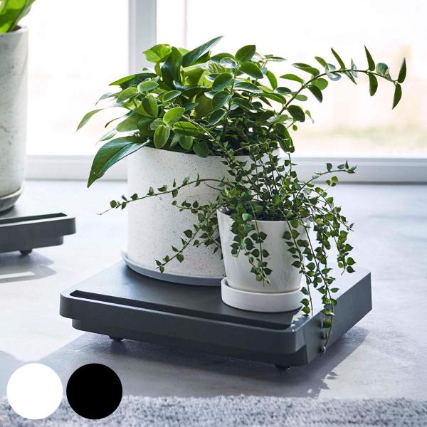 サイズ/約幅28×奥行31×高さ6.6cm（内寸）天板サイズ：約幅27.5×27.5cm内容量/1台材質/本体：ポリプロピレンキャスター：スチール（ユニクロメッキ）、ナイロン種類/ホワイト、ブラック生産国/日本製耐荷重/約40kg●重い物の...