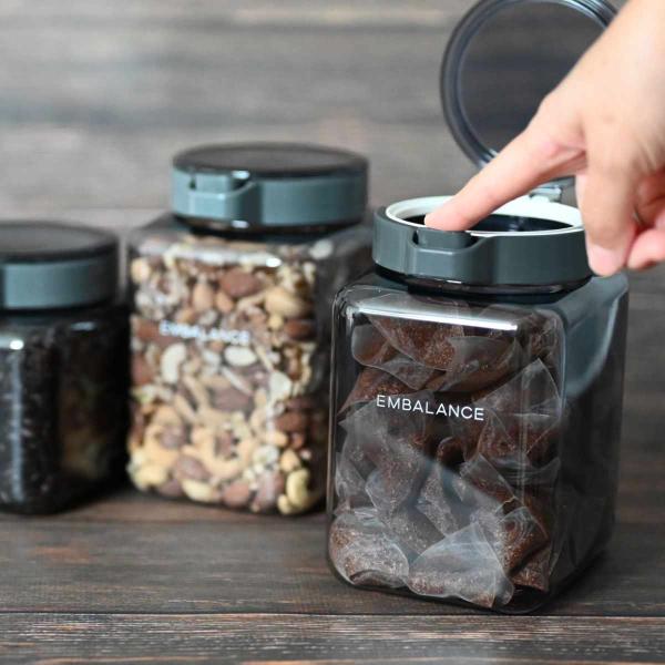 EMBALANCE 保存容器 1.6L プッシュアップコンテナ （ エンバランス プラスチック 食洗機対応 冷蔵 密閉 鮮度保持 1600ml 日本製 ）