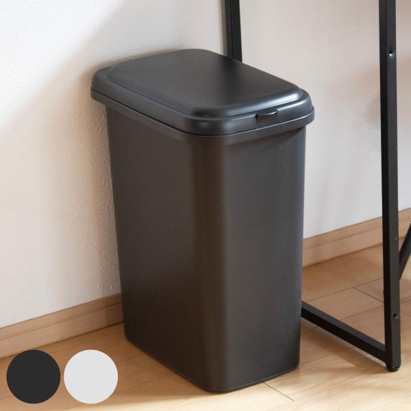 ゴミ箱 30L エコペール 袋止め付き シンプル （ ごみ箱 30リットル ふた付き 幅25cm 高さ49.5cm 縦型 コンパクト スリム 分別 ）