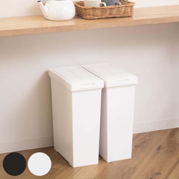 ゴミ箱 20L 2個セット 棚下で使える 両開き プッシュダスト 袋止め付き （ ごみ箱 20リットル 2個 棚下 手で開ける ふた付き 便利 シンプル 日本製 ）