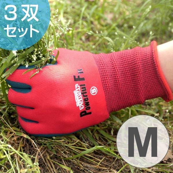 Ǝ܁@pttBbg@3og@M i S ƒp |p j