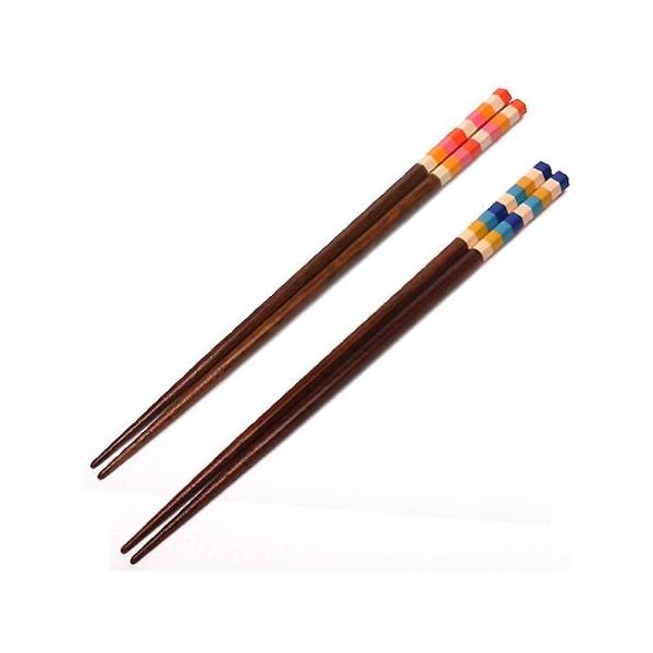  23cm L[sbg Zp ؐ i  ͂ ͂ nV Jg[ j