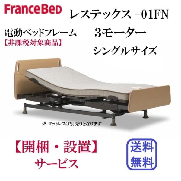 フランスベッド（FRANCEBED） 電動リクライニングベッドフレーム レス