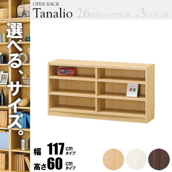 オープンラック 幅120 高さ60 タナリオ tnl-60117 収納 本収納 ラック