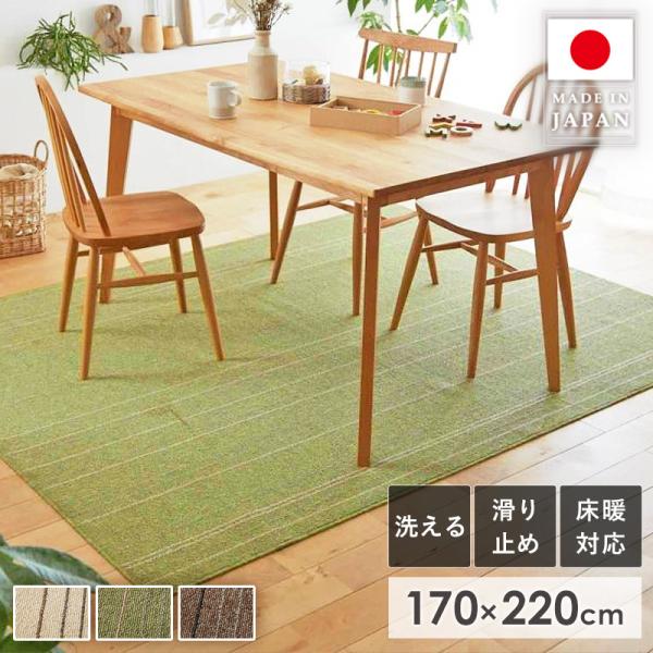 ラグ カーペット ラグマット 洗える おしゃれ 2畳 長方形 ダイニングラグ 洗えるラグ 夏用 夏用ラグ オールシーズン 国産 洗濯 170×220cm らぐ リビングラグ