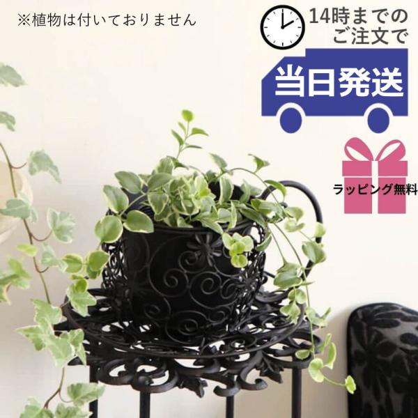 鉢カバー プランターカバー アイアン 雑貨フラワーポット 植木鉢カバー