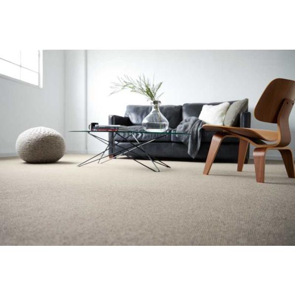 人気一番 人気一番人気ブランド 日本no1の実績 高級 家具 インテリア カーペット 激安 送料無料 通販 1cm刻み カット無料 送料無料 アスワン Yesオーダーカーペット カット無料 アスシード Sed 中京間6畳 横273 縦364cm テープ加工品 Acp14 28t