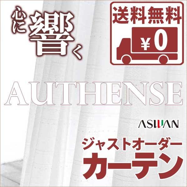 送料無料 カーテン シェード アスワン オーセンス Authense Function Lace E6391 ハイグレード縫製 約2倍ヒダ レース Www Sunnyfriend Com Tw