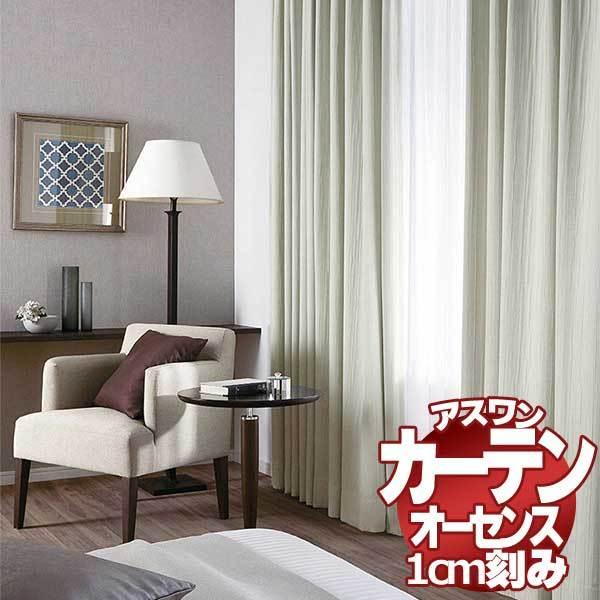 送料無料 カーテン シェード アスワン オーセンス Authense Lace E6406 ハイグレード縫製 約1 5倍ヒダ レース Apaproduction Fr