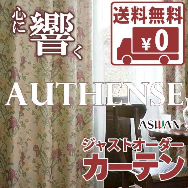 送料無料 カーテン シェード アスワン オーセンス Authense Musee De L Impression Sur Etoffes B6432 6433 ニューシンプル縫製 So 約1 5倍ヒダ Thecharlienoble Com