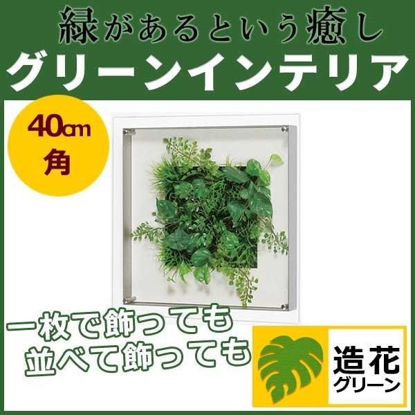 WALL GREEN 3436 O[CeA  O[|bg ϗtA pl z CeAfR (GR3436)