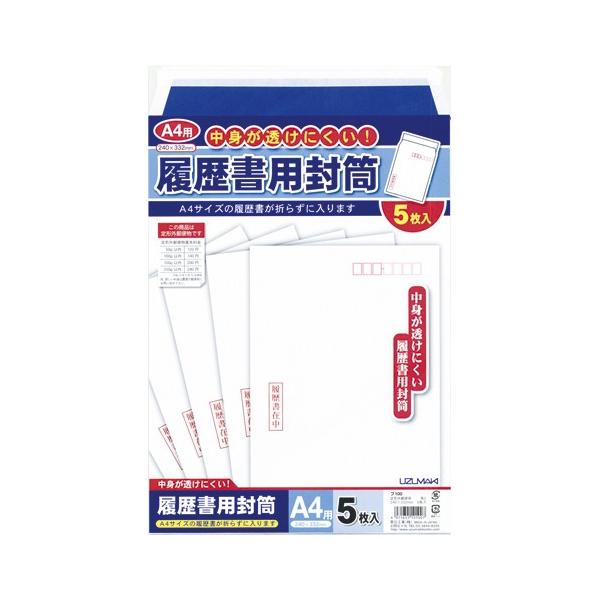 �����H�� �������p���� A4�p �t100 1�o�D