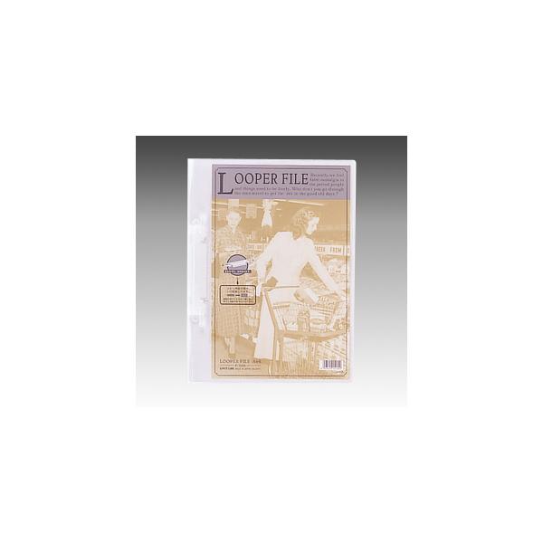 qgu [p[t@C A4Er  F-3006 1