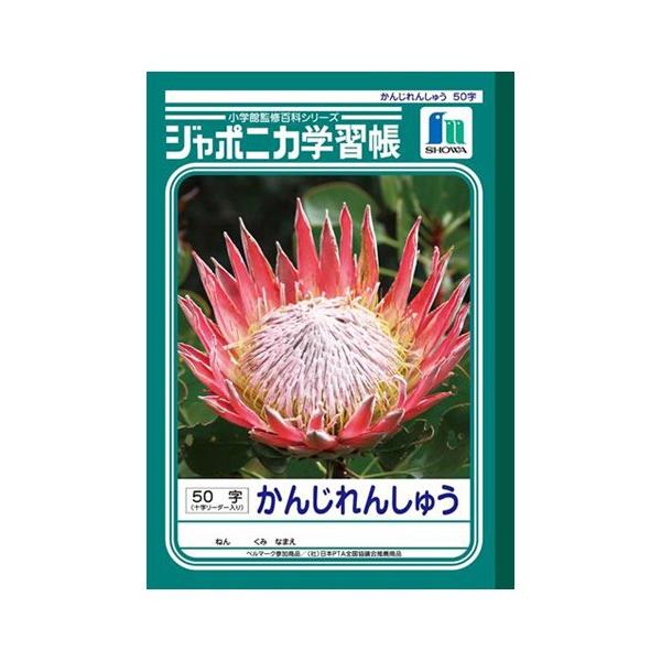 VEm[g B5.ik|48.񂶂񂵂イ50{ JL-48 10