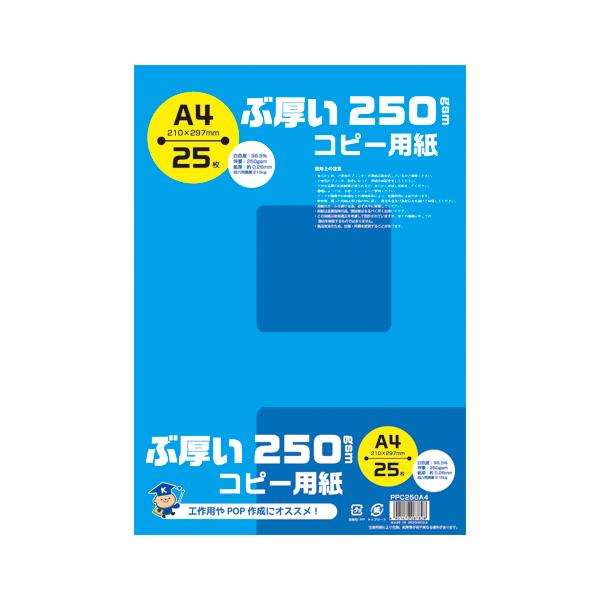 {m[giLNgEj ԌRs[p 250 gsm A4 PPC250A4 25 1