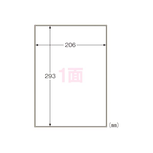 �q�T�S ���O���x�� ���I�ʑΉ� A4 �m�[�J�b�g KLPC862S 10����