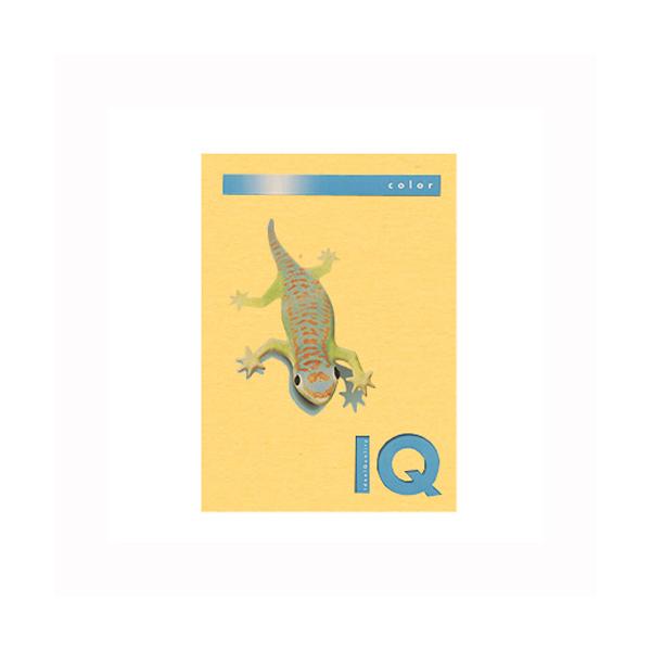 ɓ oCIgbvJ[ A4i500j BT502 1