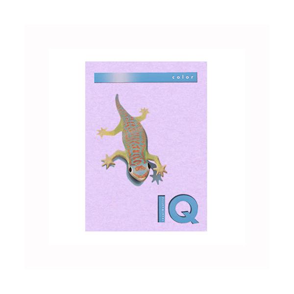 ɓ oCIgbvJ[ A4i500j BT510 x_[ 1