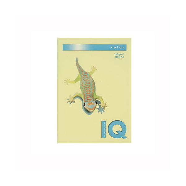 ɓ oCIgbvJ[ A4i250j BT827  1