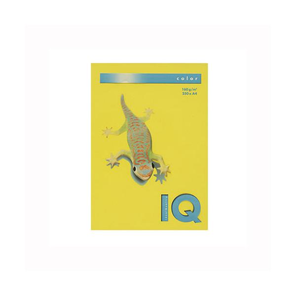 ɓ oCIgbvJ[ A4i250j BT829 }X^[h 1