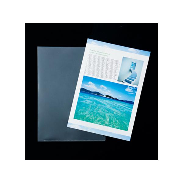 RH NAz_[nCNX^A4 100 YG-110-100HC(R) 1oD