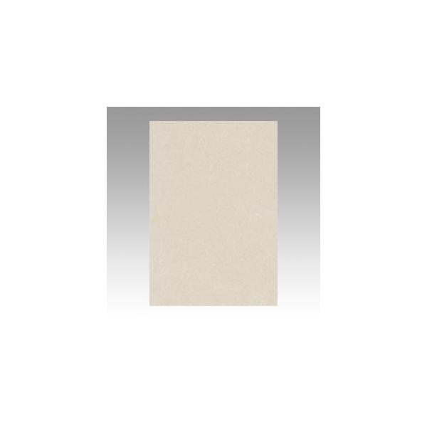 ebN j[J[ 8 100 邢͂ GO8NCR-113 1