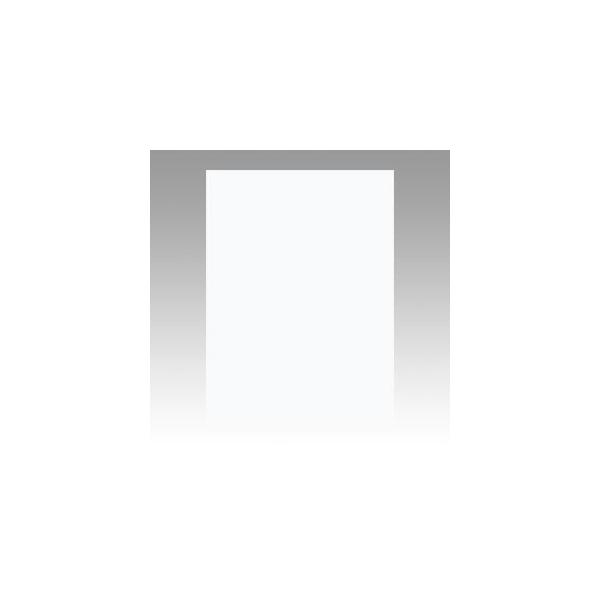 �����e�b�N �j���[�J���[ 4�� 100�� �䂫 GO4NCR-151 1��