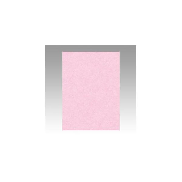 ebN j[J[ 4 100  GO4NCR-218 1