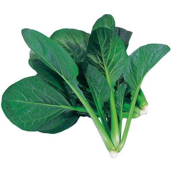 A[ebN k͔|jbg xr[R}ci 102967