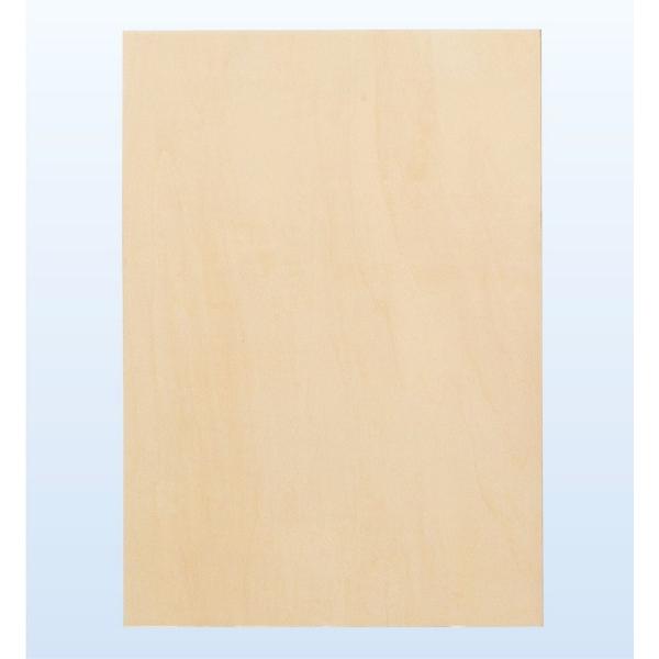 �A�[�e�b�N �p�l�� �`4 �˘g 130078