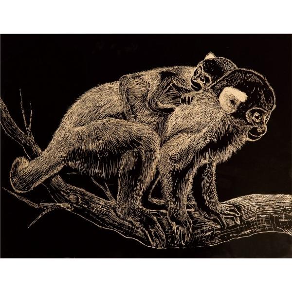 A[ebN S[hXNb`{[h ^bNt[t 13887