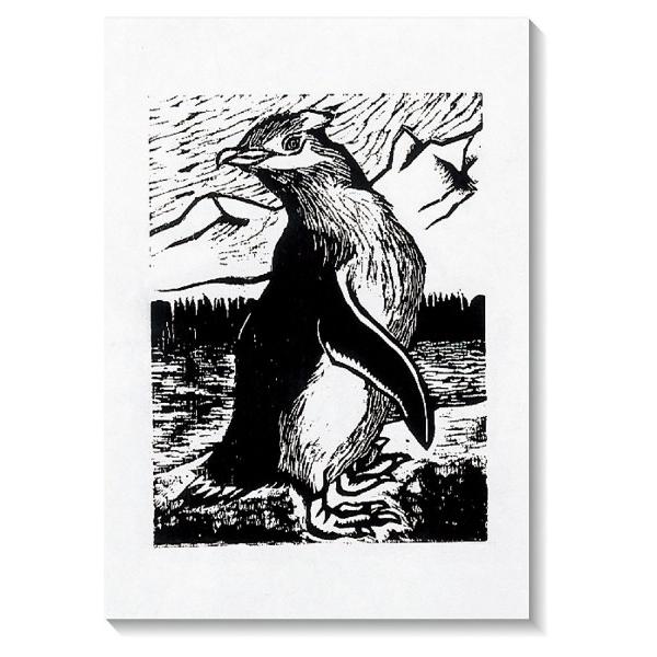 A[ebN ŉa 60ʉŗp 4؁i100j 20801