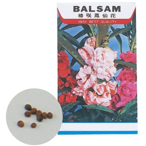 商品サイズ：約30〜40粒