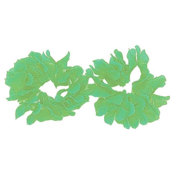 A[ebN ͂Ȃ̘r   2965