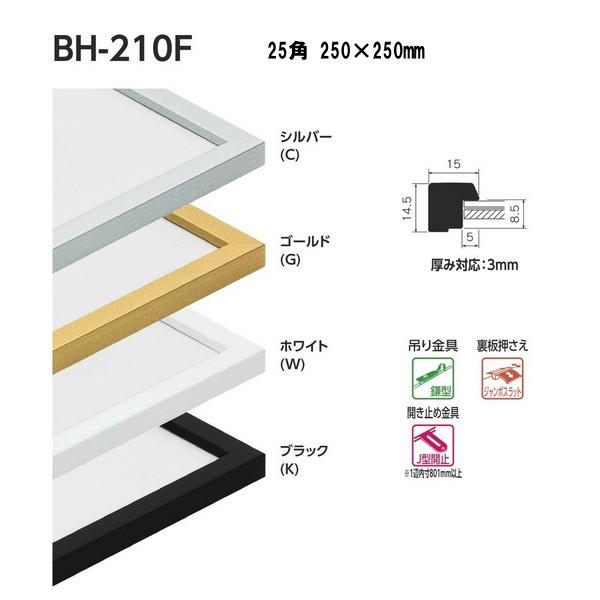 ベルク 水彩縁 正方形サイズ 25角 BH-210F 250×250mm