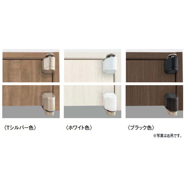 DAIKEN 開き戸 ピボット丁番セット イエリア用 親子ドア用 塗装タイプ