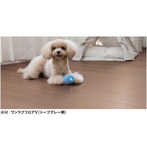 いっぬ Amazon.co.jp: Hi-Line Gift 柴犬 座像 87790-B : DIY, Tools