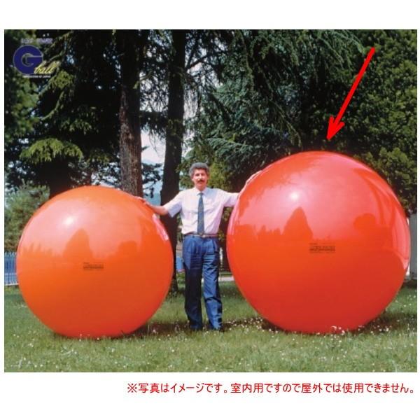 ダンノ メガボール180 Φ180cm レッド D-5456 : イーヅカ - 通販