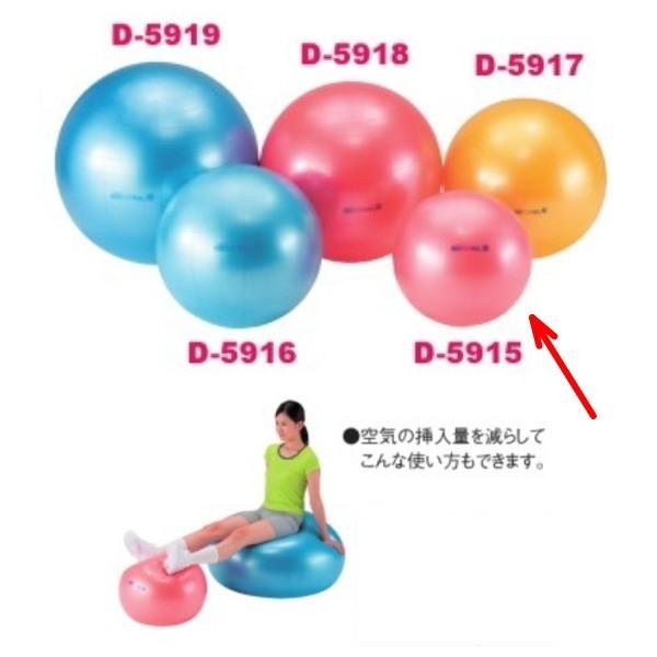 バランスボール 55cm ギムニク」の人気商品一覧・価格比較 - 価格.com