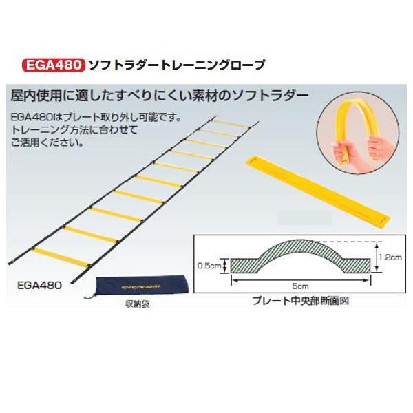 Goj[ \tg_[g[jO[v 4×50 EGA480 1