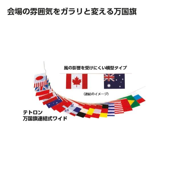 EVERNEW（エバニュー） 体育用品 レクリエーション 運動会 テープ 印 マーカー ライン引き テトロン万国旗連結式ワイド 【マルチカラー】 EKA644  21 {SK} EVERNEW（エバニュー） テトロン 万国旗連結式ワイド EKA644 1組