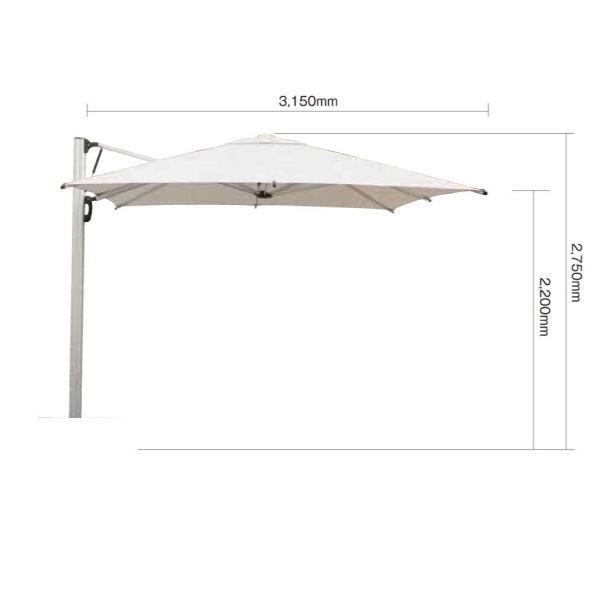 確認画像 アンブレラ ポーター×前原光榮商店 PSカモ 折り畳み傘