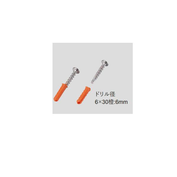 グローベン 偏芯プラグビス 6×30 A50KG630 90本入 : イーヅカ