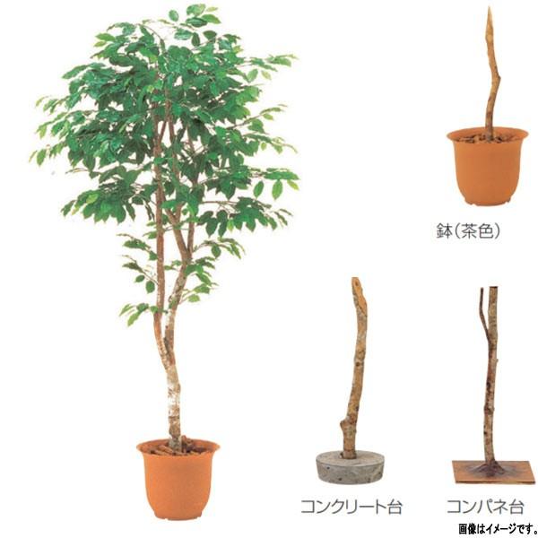 �O���[�x�� �l�H�A�� ���؁E�����p �t�B�J�X�x���W���~���i1�{���j A70NS808 H1800mm