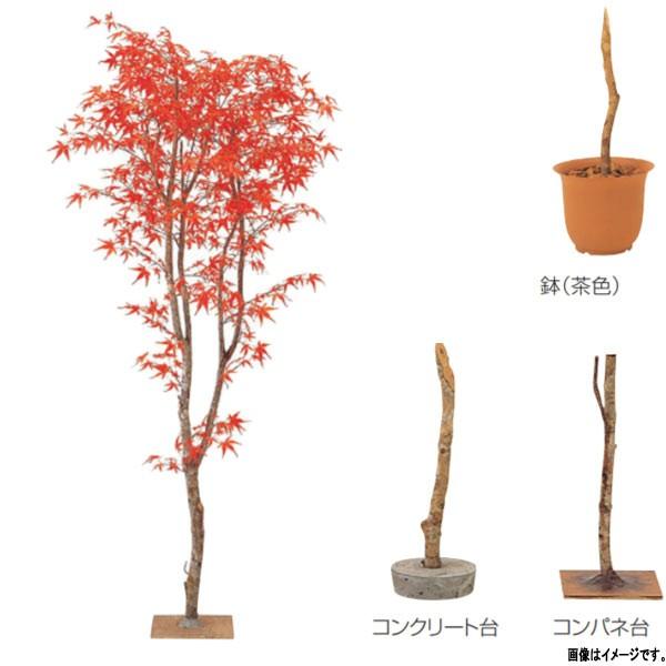 O[x lHA ؁Ep ~W A70NT118 H1800mm IW