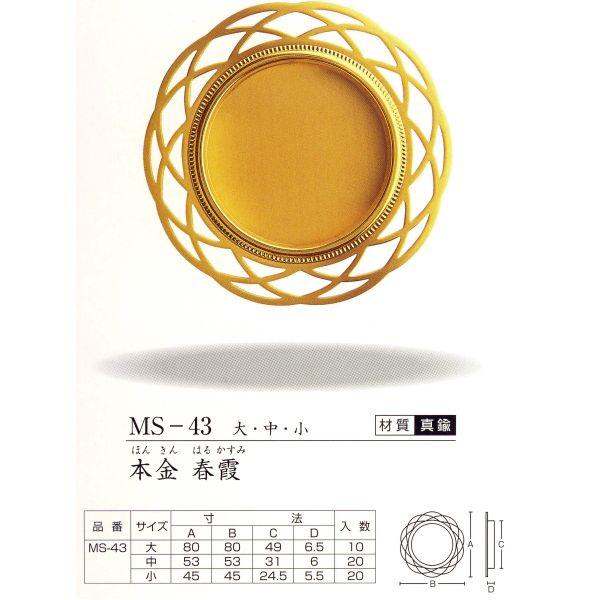 cLGX  MS-43 { t // P